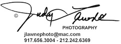 judy lawne photography
