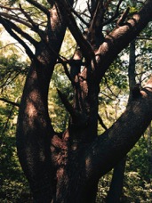 page13-1002-full.jpg