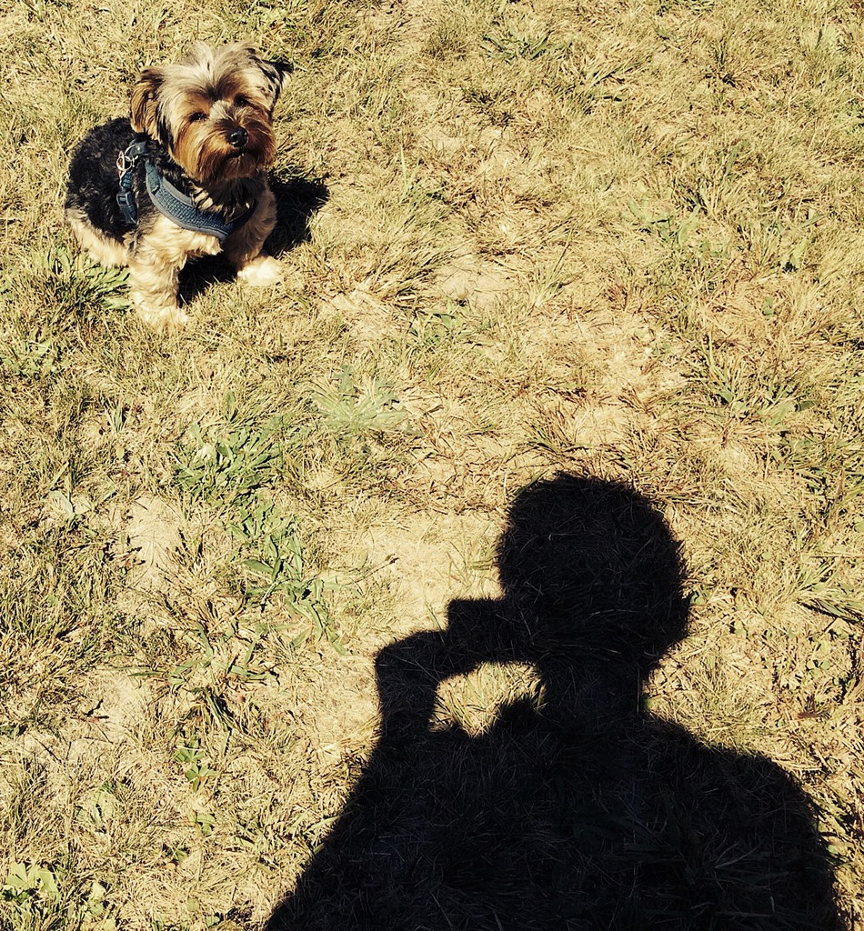 MARTHA'S VINYARD: ME & RCKE
