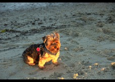 page13-1009-full.jpg