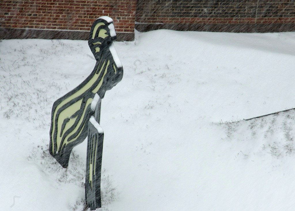 RAUSCHENBERG'S TERRACE, SPRING IS TRYING