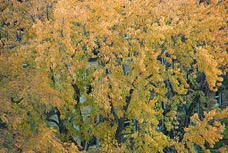 page14-1004-full.jpg