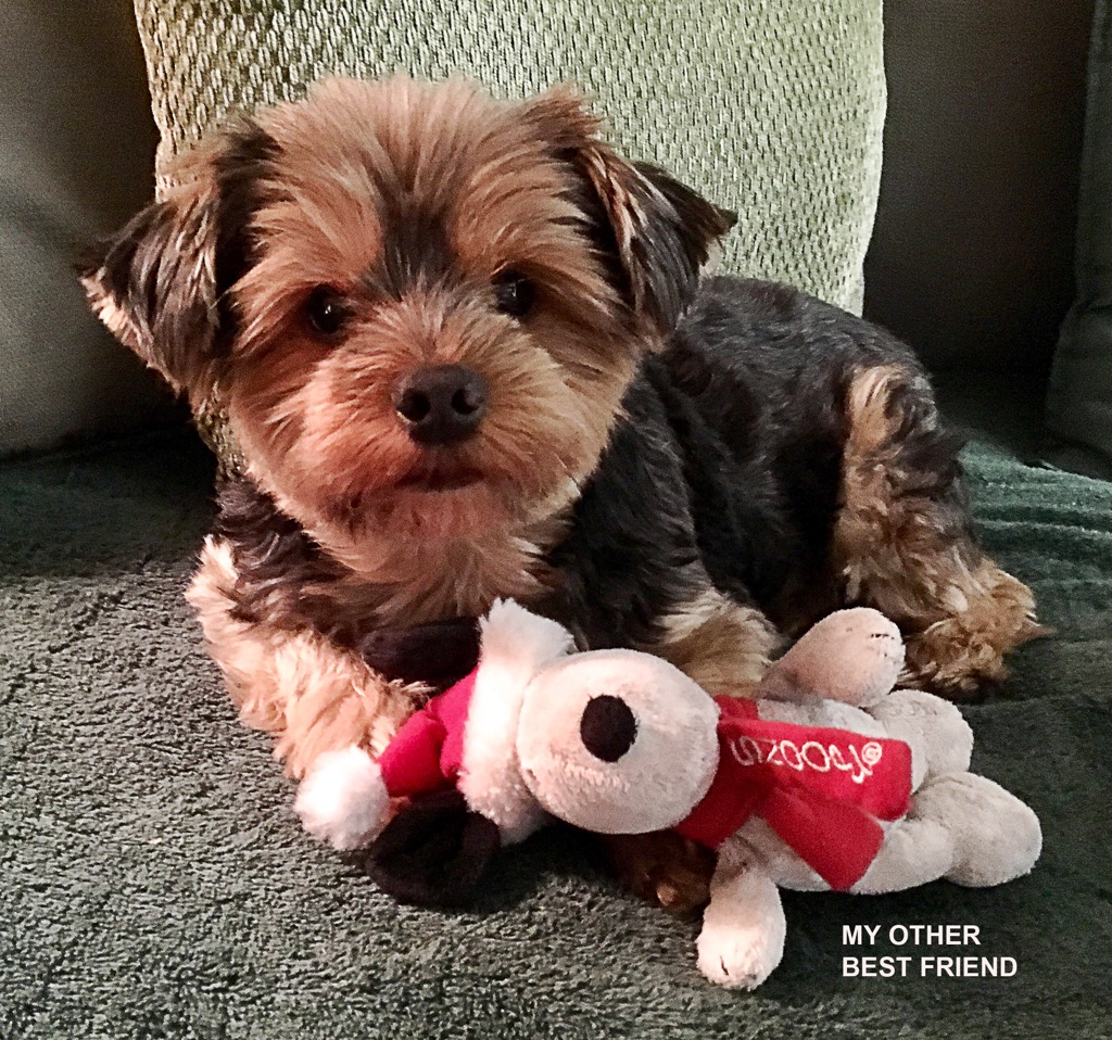 SNOOPY'S MY OTHER BEST FRIEND