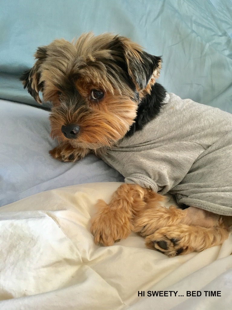 WANNA UM... BED TIME
