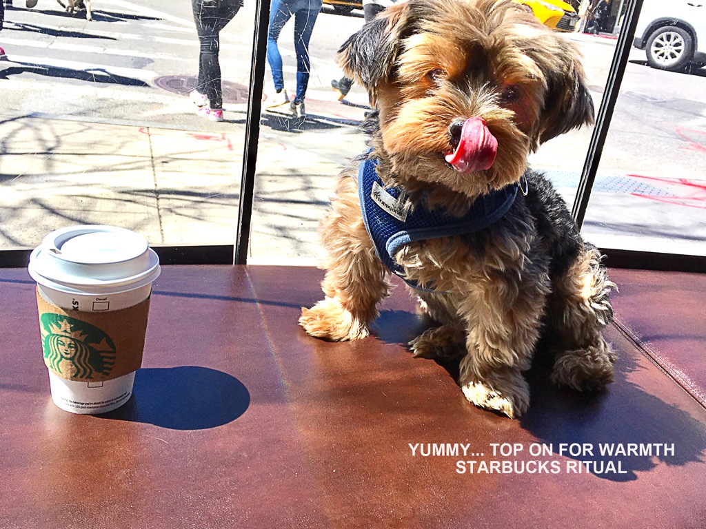 STARBUCKS RITUAL