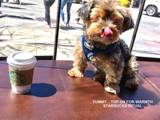 RCKE TONGUE STARBUCKS.jpg