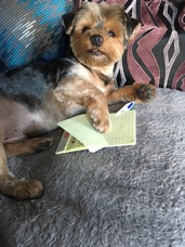 N - WRITING MEMOIRS.jpg