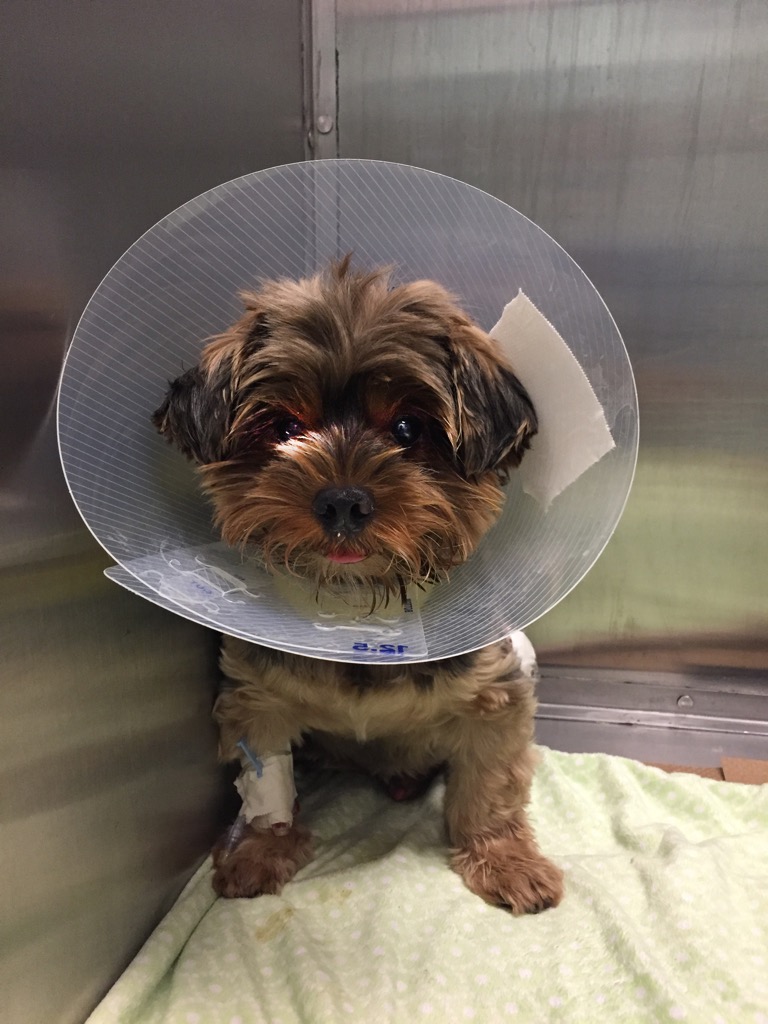 AFTER SURGERY